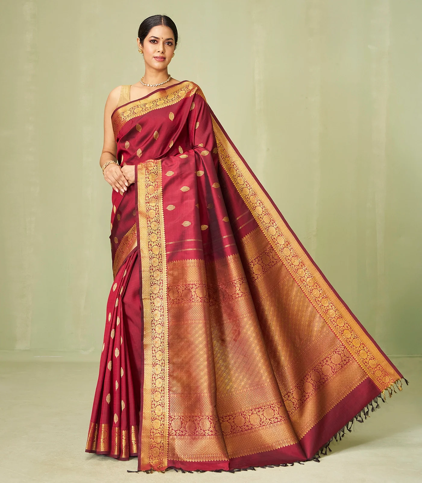 Golden zari border